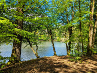 /album/oberbreidenbach-2024/wandertag-14-jpg/